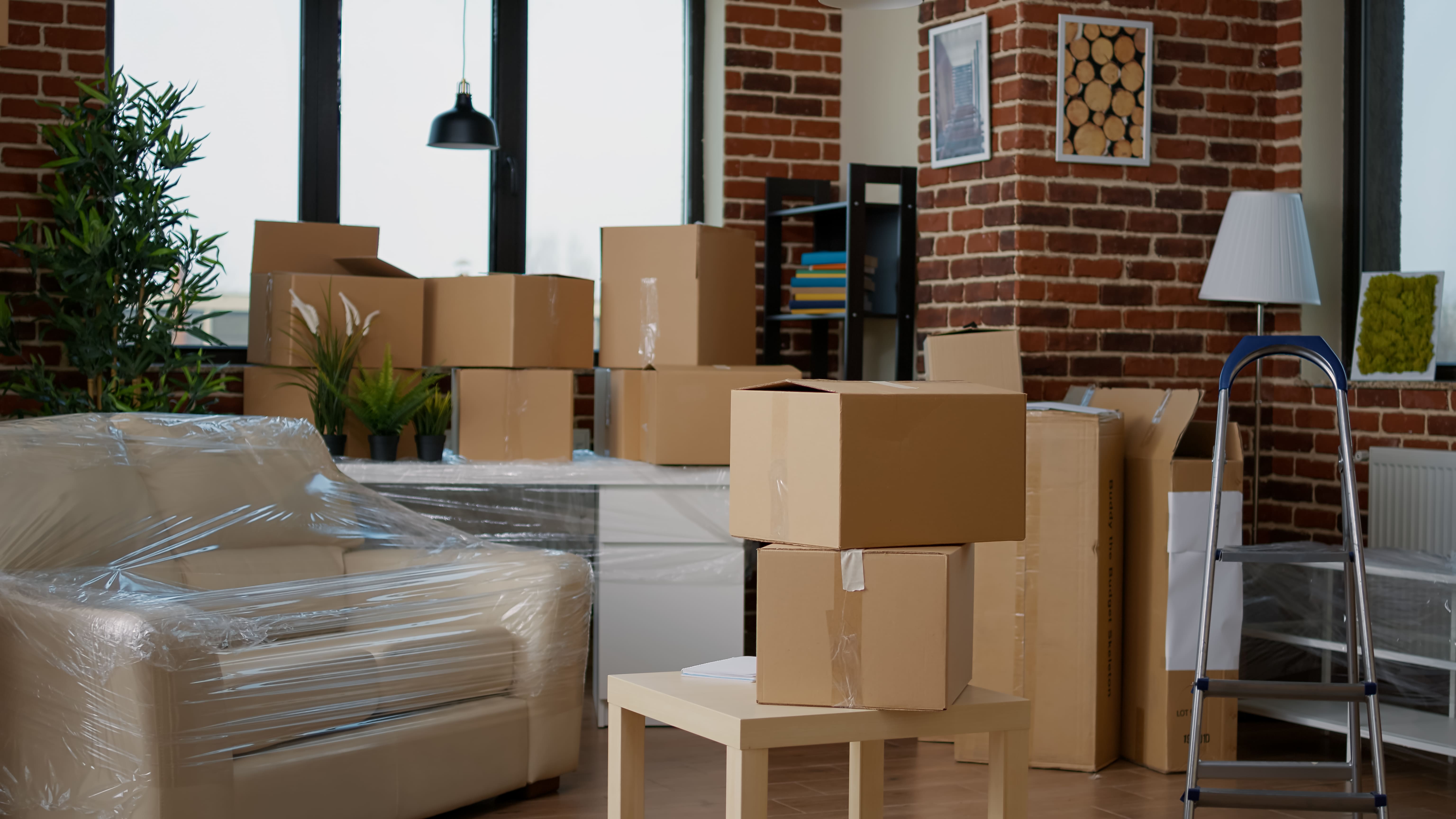 Office Removals